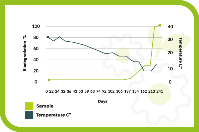 ESTADISTICA-ENGLIS-01